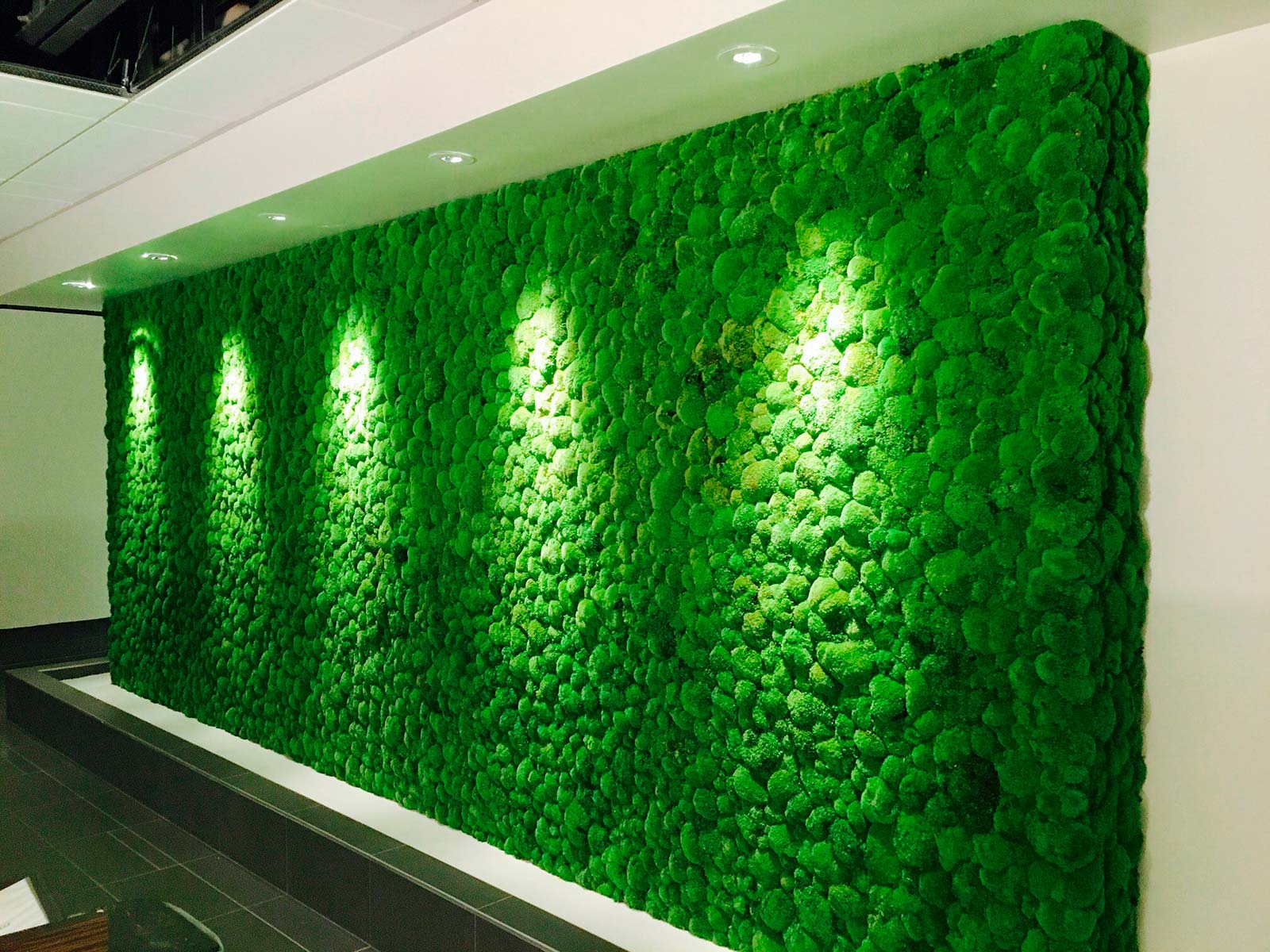 100% Natural Plants Installed In Vertical Gardens on Ceilings & Walls