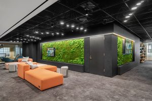 The Role of Preserved Moss in Enhancing Biophilic Design in Modern Spaces