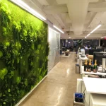 Transforming Interiors with Custom, Sustainable Preserved Green Wall Installations