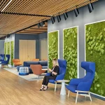 Creating Mindful Spaces: The Role of Biophilic Design & Sustainability