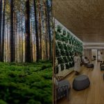 Visual Excellence in Biophilic Design