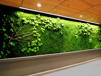 Biophilic Moss Wall Firm Launched by Ayrsonics - DesignWell